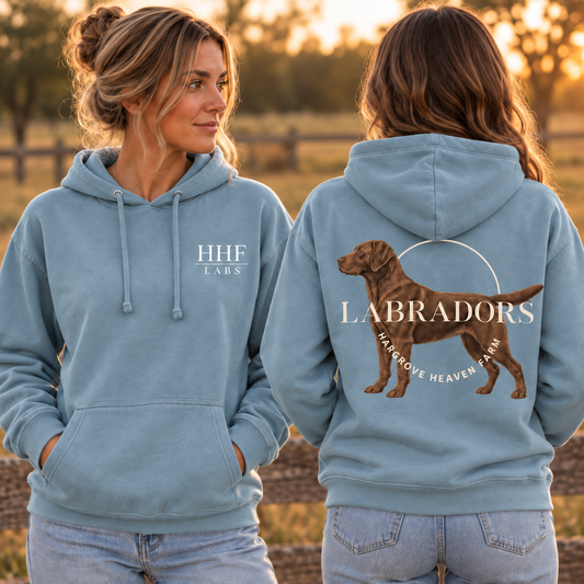 Comfort Colors Blue Hoodie or Crew